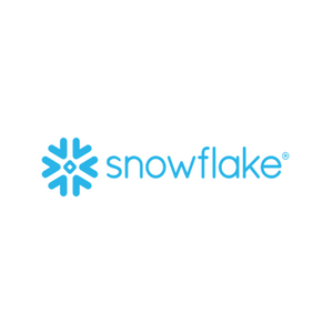 E22LHIS - Snowflake Logo